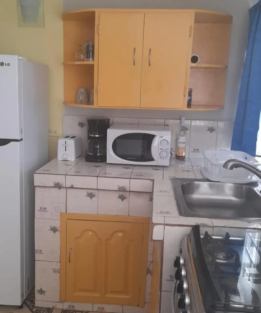 Vtr Vacation Rental Montego Bay Apartment